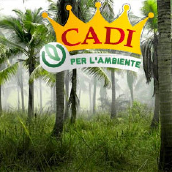 Cadi per l'ambiente